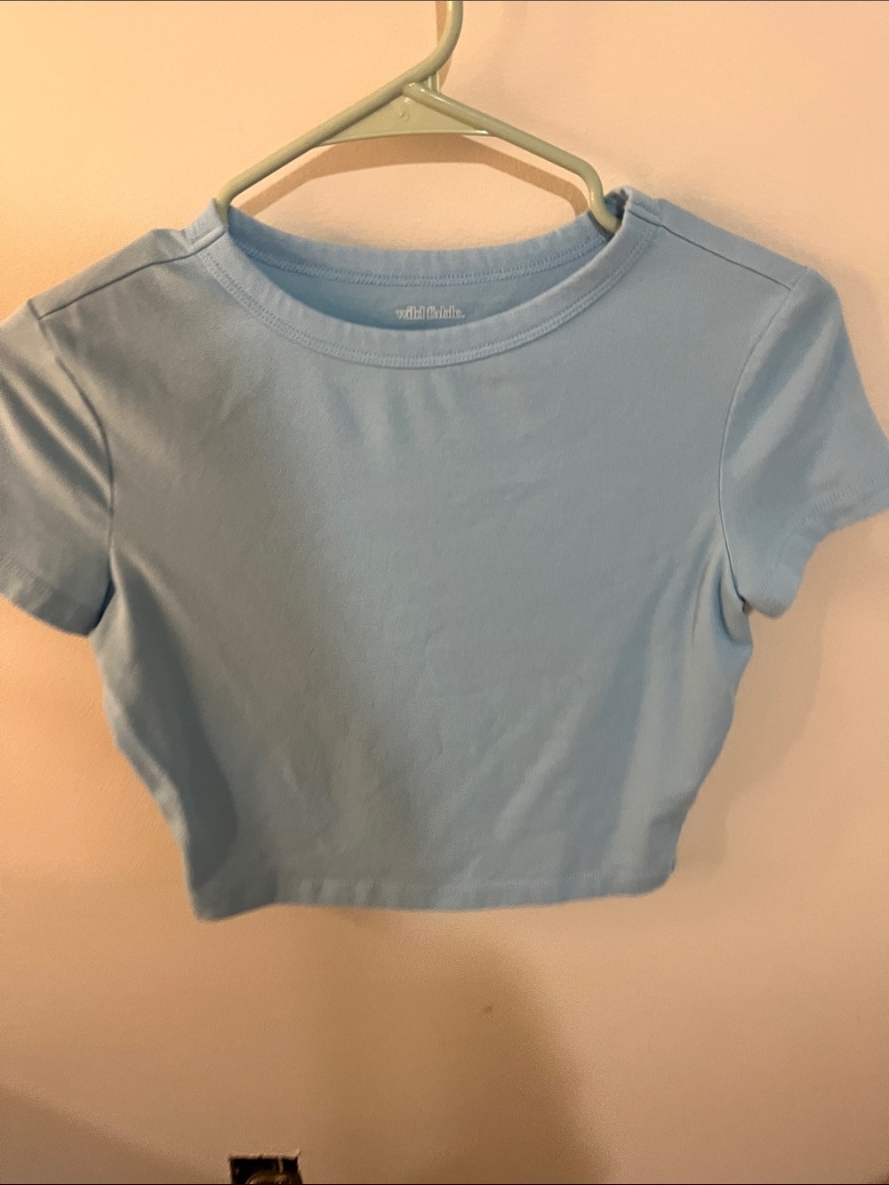 wild fable Light Blue Cropped Tee